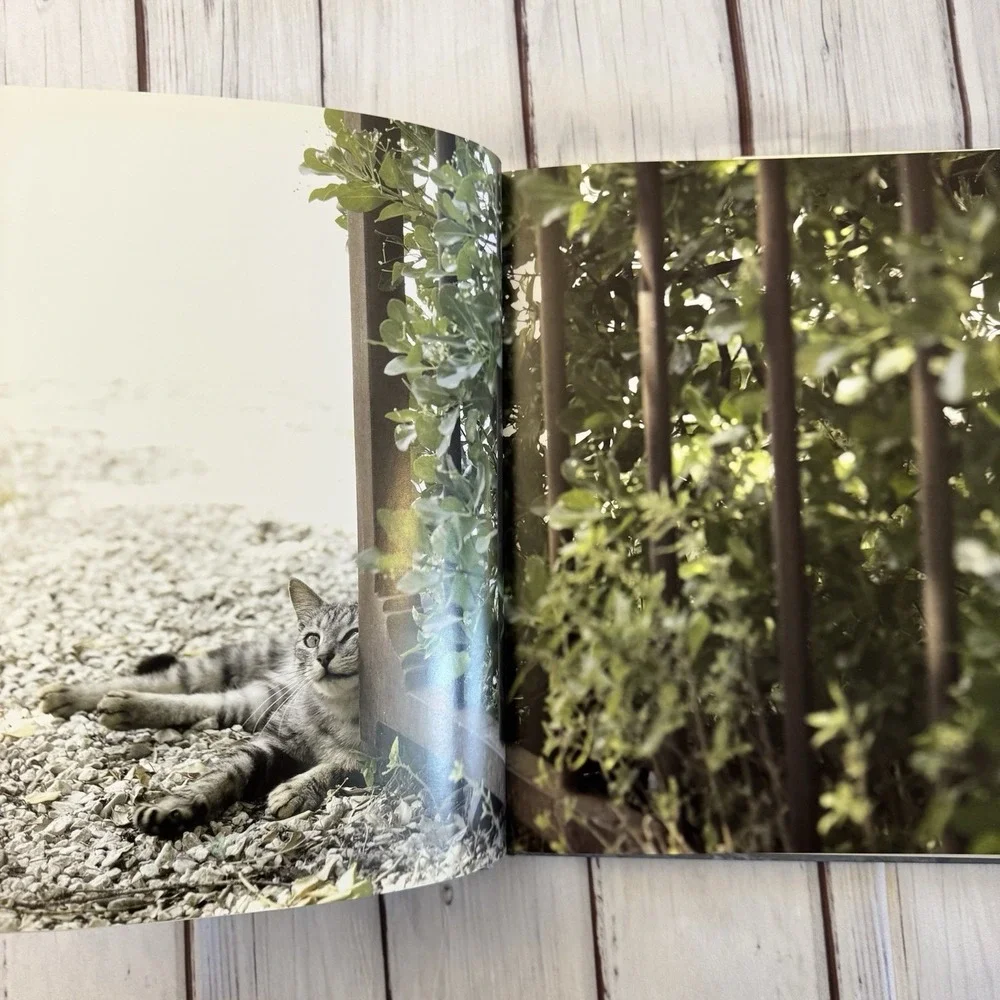The‎ French Cat Photographs Rachael Hale McKenna Hardcover